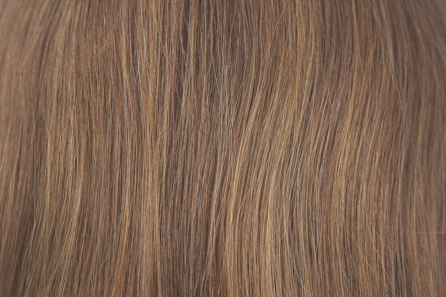 Remy HH Topper 14"