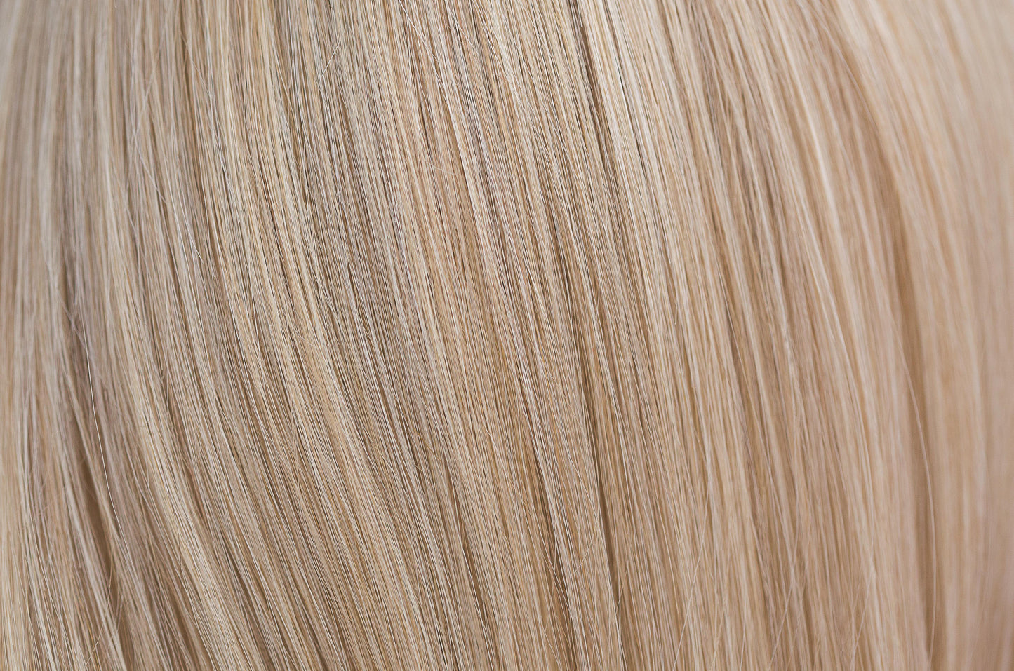 Remy HH Topper 14"