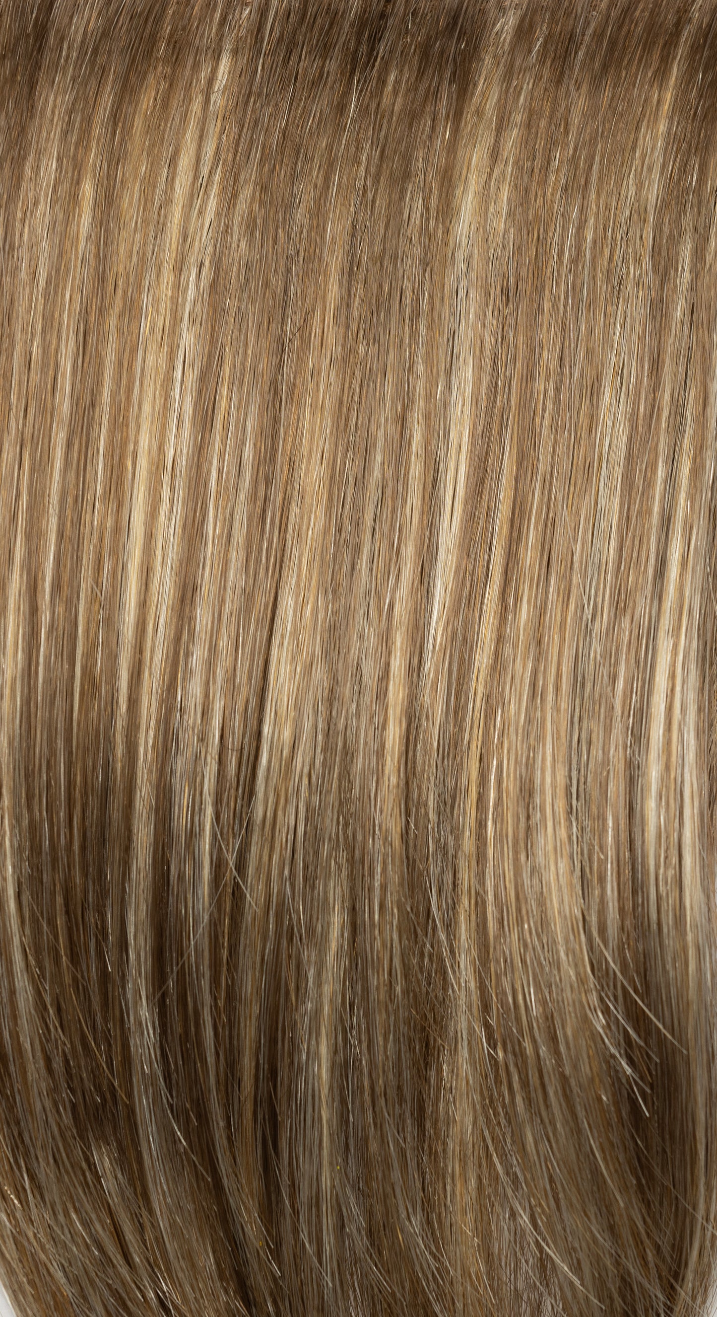 12/26H | Light Golden Brown with Heavier Golden Blonde Highlights